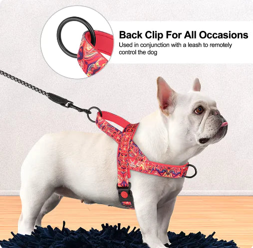 Dog Harness with Leash