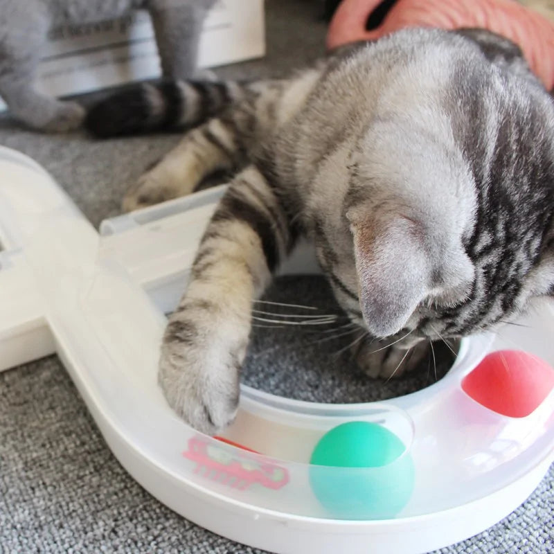 Robotic Bug Toy for Cats