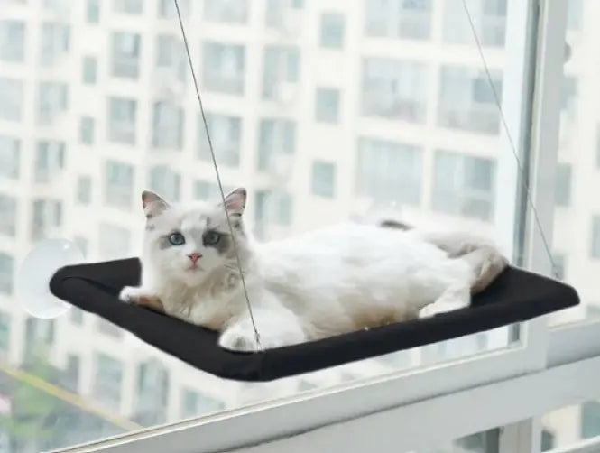 Pet Window Hammock