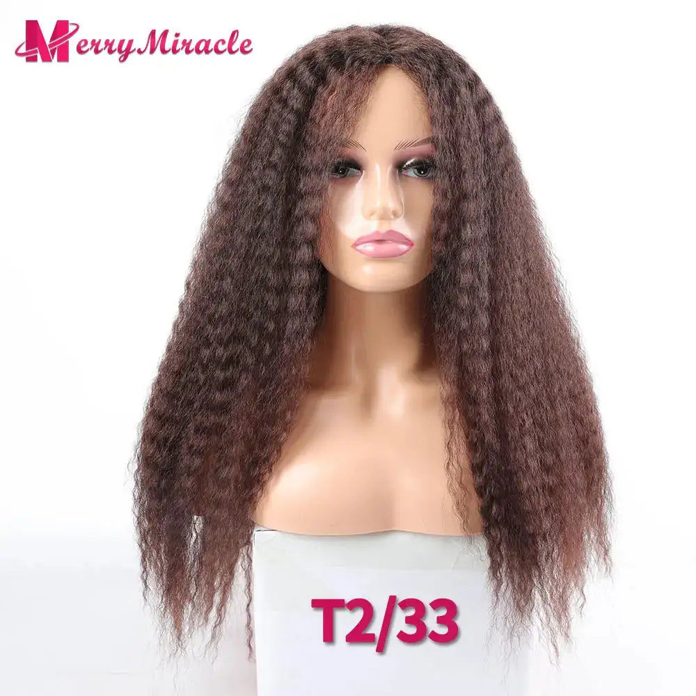 Afro Kinky Curly Hair Wigs